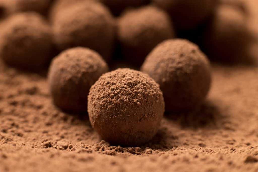 Chocolate truffles rolled in cocoa powder sitting, all sitting in sifted cocoa powder together