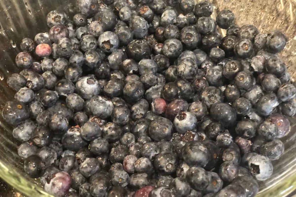 Blueberries in a glass mixing bowl